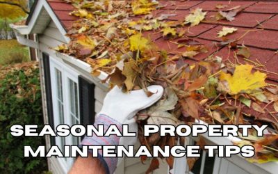 Seasonal Property Maintenance Tips for Aurora Rentals